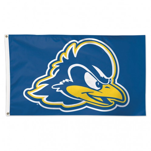 University of Delaware Fighting Blue Hen